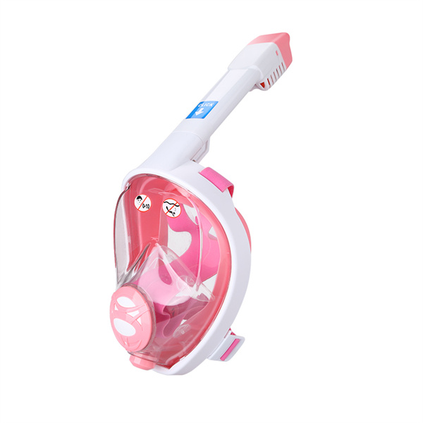 Scopri la vita marina colorata mentre fai snorkeling