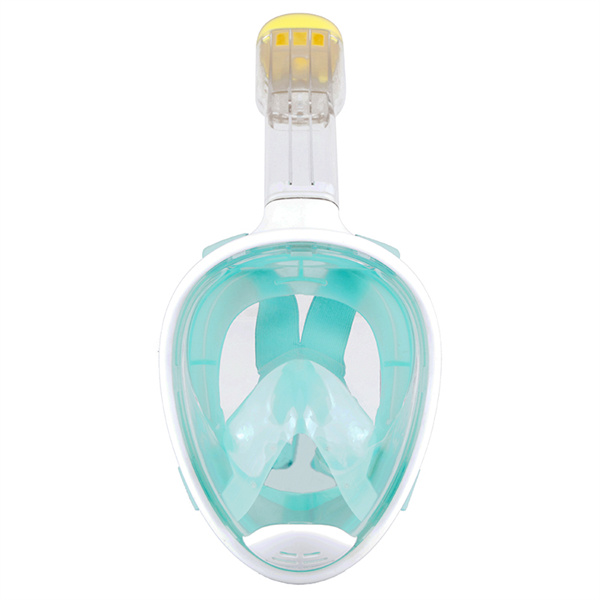 Vedi la bellezza dell'oceano da vicino con una maschera da snorkeling