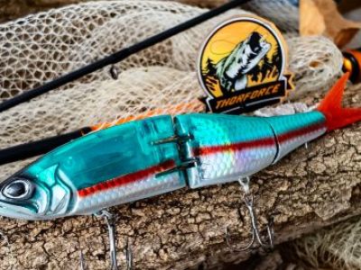 Tips for Using THORFORCE 3D Eye Metal Jigs to Target Freshwater Predators