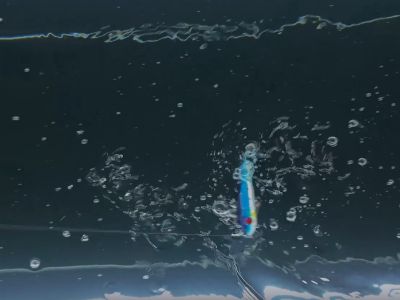 THORFORCE Floating ABS Hard Lure: Realistic Action Meets Durability
