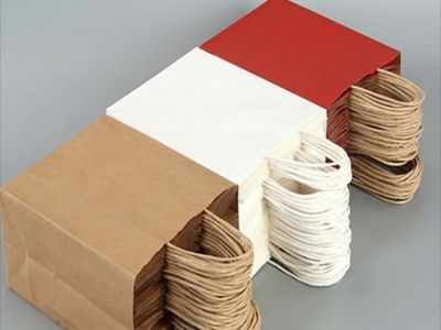 Eco-Friendly Craft: Create Your Own Paper Bags