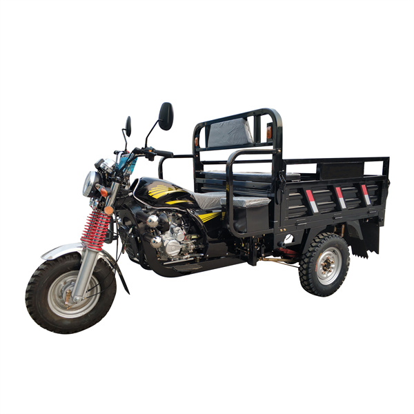 3 Wheel Electric Scooters