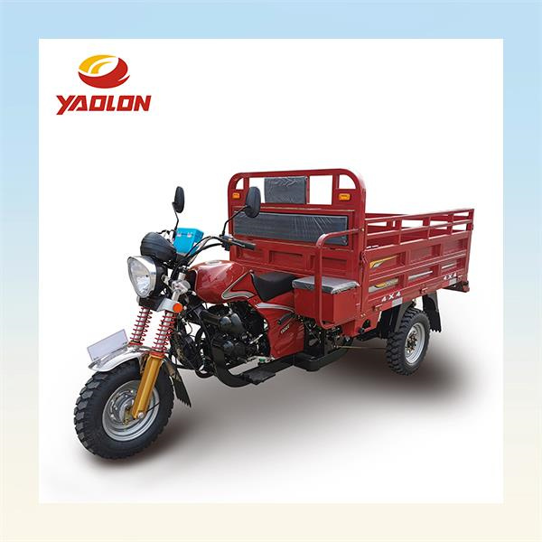The Versatile Utility of Cargo Tricycles
