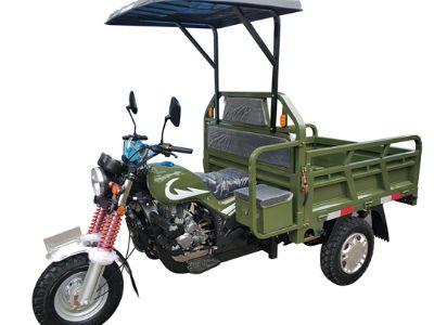 Rugged Adult Gasoline Three-Wheeled Motorcycle: Durable for Long-Term Use