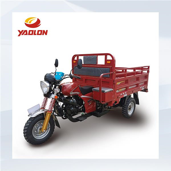 Cargo Tricycles in Action