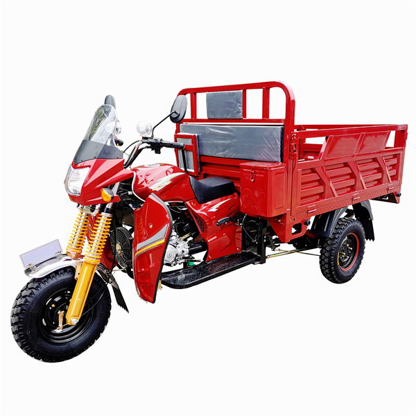Exploring the World on Three Wheels