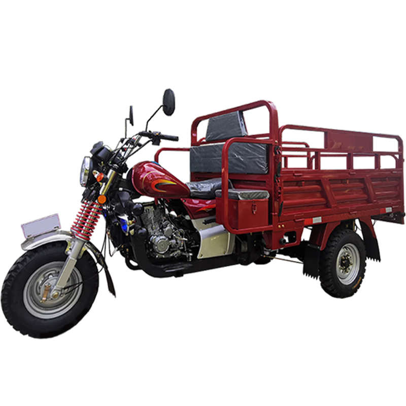Gasoline Cargo Tricycle: OR150ZH-AP