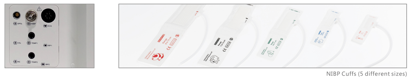 Portable Vet Multi-parameter Monitor Animals Medical Equipment 15inch Veterinary Monitor supplier