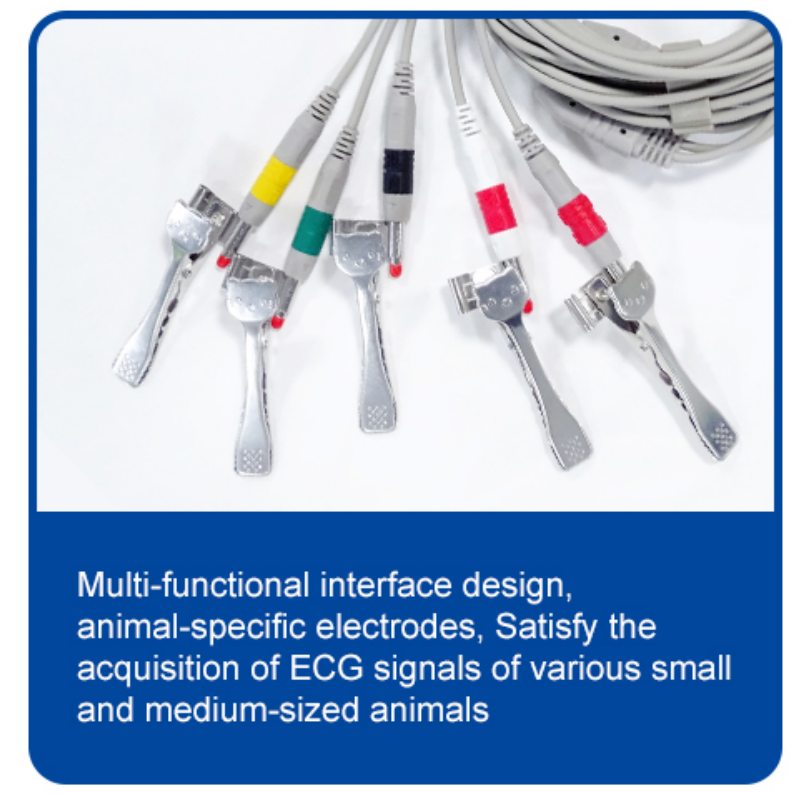 2024 hot selling 3-Channel 12-Lead Portable ECG Machine Animal Veterinary Medicine EKG Device for Veterinary Instrument Use supplier