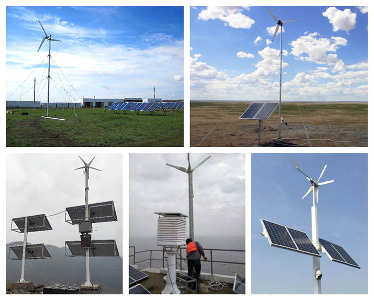 300w 400w 800w 1kw 2kw horizontal axis wind turbine generator-8