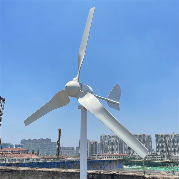 Capacity: Choose a wind turbine that can generate the amount of electricity required in your home.