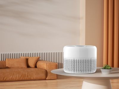 How to Choose the Best Air Cleaner for Your Home