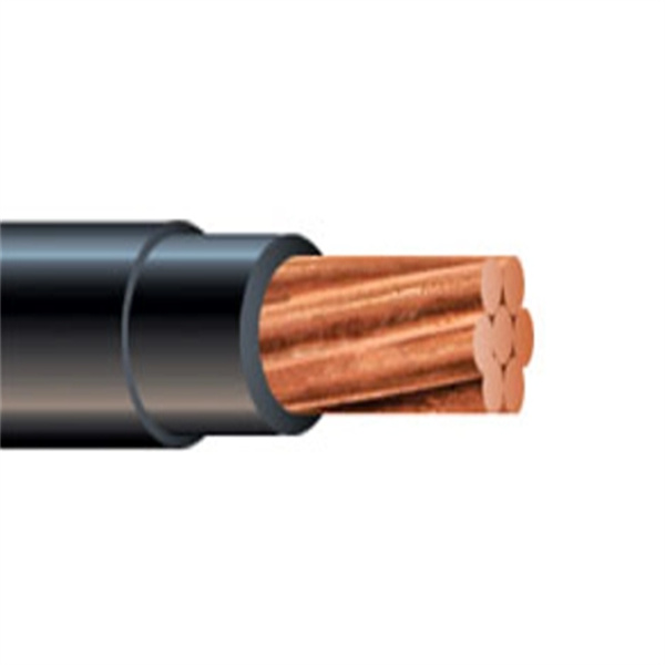 Slàinte agus Sguirteachd de Shlighe 6 Awg