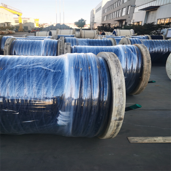 Wie kritt man den réchten 10AWG 2C Draad fir deng Projett