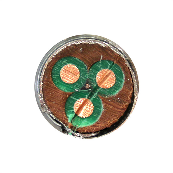 Comhairleanna maidir le haghraíocht agus le coiscéimniú cearcaill uiscéadóirí folctha