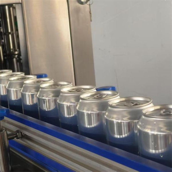 Sigurimi i Sigurisë