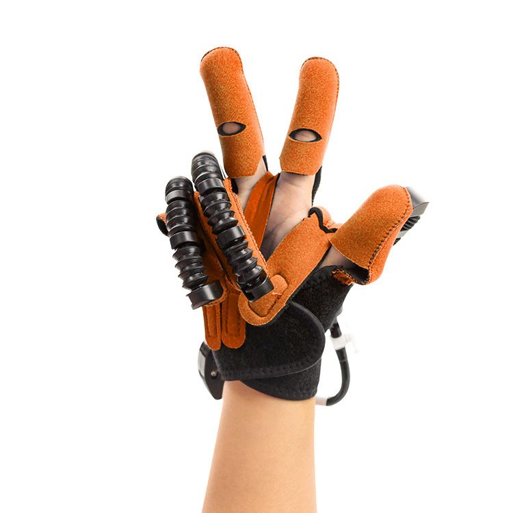the future of prosthetics limbs integration and functionality-2