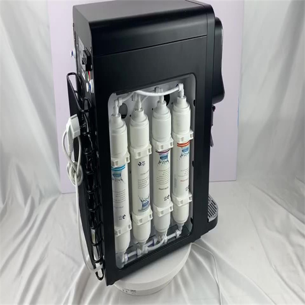Safeguard your family's health with a water purifier