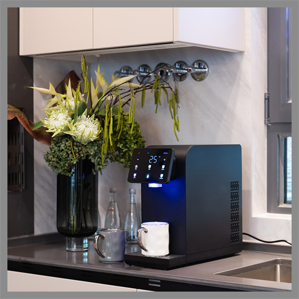 Туруктуу Өзгөчөлүктөрү Бар Эко-Таза Вариант