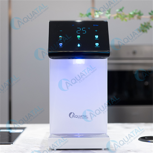 Конок шаармак же коммерциялык мейманханалардын кандайдыр бир мейманханасын жакшыртып берүүчү стильдүү долбоор