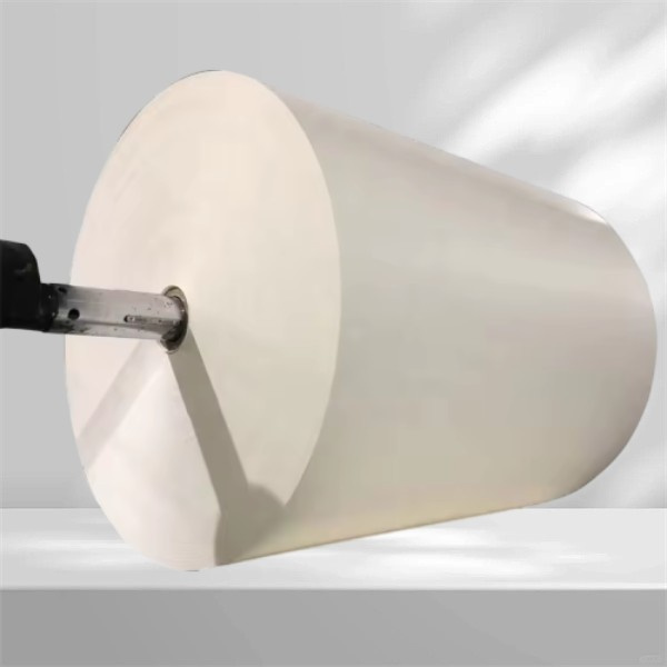 Solutions d'emballage durables et respectueuses de l'environnement en papier enduit PE