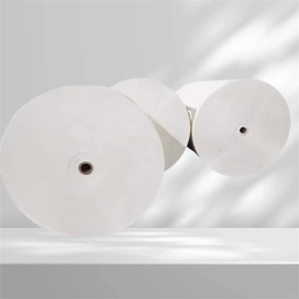 บรรจุภัณฑ์ที่เป็นมิตรต่อสิ่งแวดล้อมง่ายๆ ด้วยกระดาษรีลเคลือบ PE