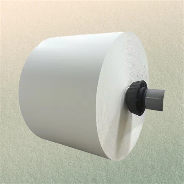 친환경적이며 생분해 가능한 옵션 제공