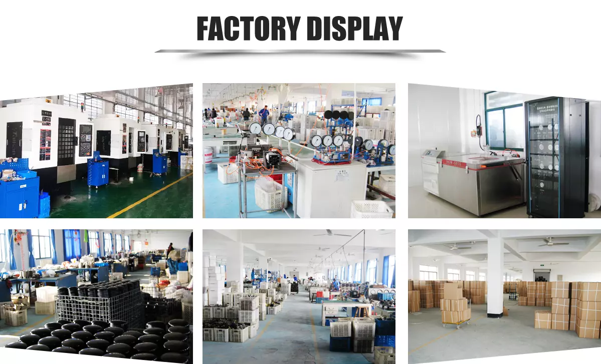 VIT 9630010500 Heavy Duty trucks Quick Release Valve RvIi 5051170426 factory