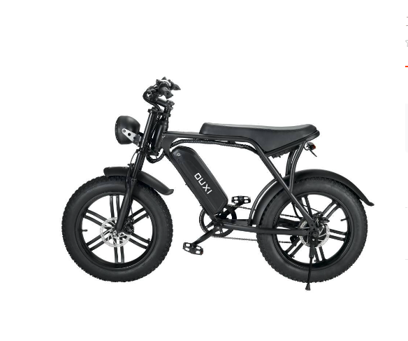 OUXI Electric Bicycles: Reinforcing the Electric Bicycle Sector