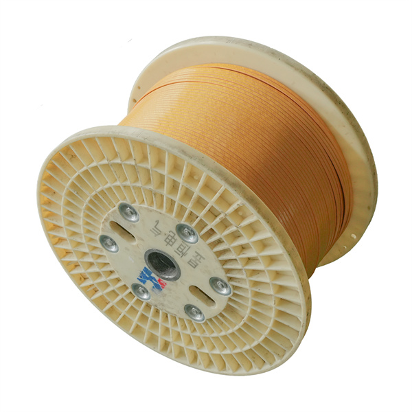 החזיק את המאכלוסים בתוך הגדר חשמלית מבודדת