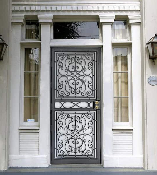 Easy Installation and Maintenance of Double Building Iron Steel Doors