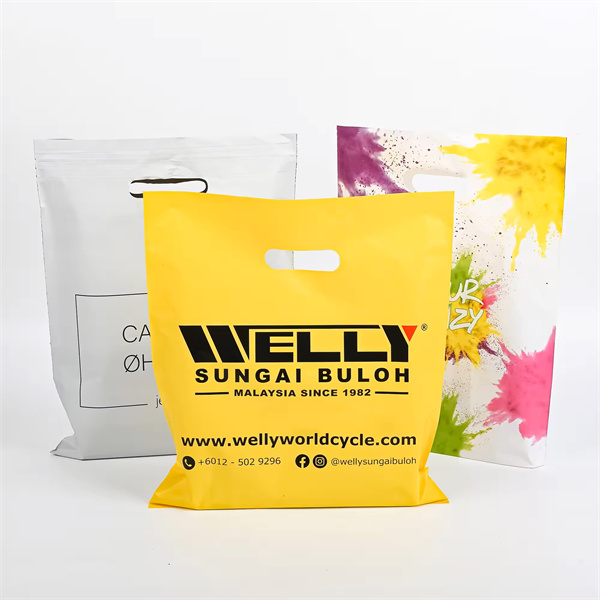 การถกเถียงเกี่ยวกับการแบนถุงพลาสติกสำหรับช้อปปิ้ง