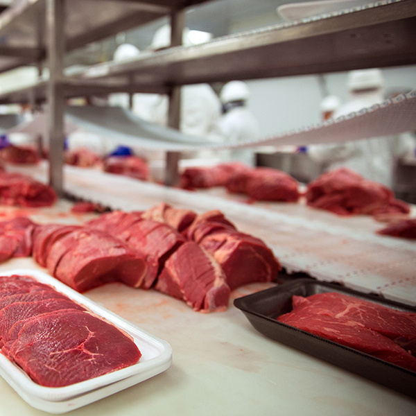 Conveyor-ruoan käyttöohjeet: