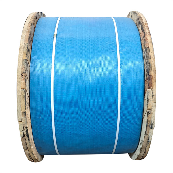 Uobičajeni problemi koje treba uzeti u obzir pri korištenju 6x19 žica za veleprodajne projekte