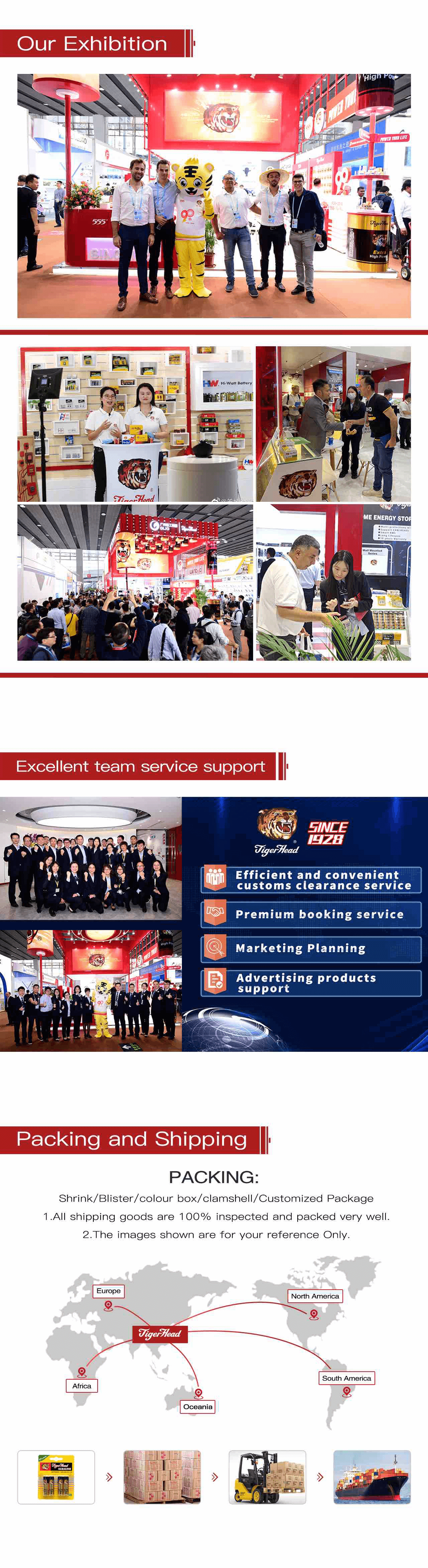 tiger head battery group organizes team building activity-1