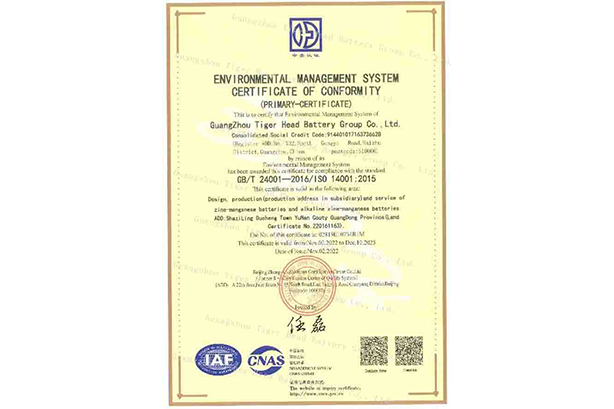 Tiger Head Battery Successfully Pass An ISO Certification Audit