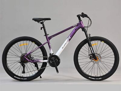 Top 5 Mountain Bike Trails Around the World: Ride the Adventure