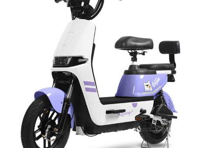 Top Electric Bicycles for Eco-Friendly Riders: Go Green in Style