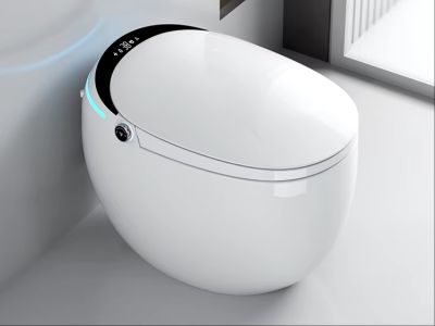 Top 5 Smart Toilet Maintenance Tips to Keep It Running Smoothly