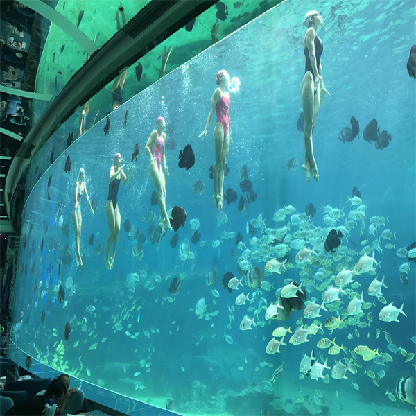 私たちの魔法の水族館レストランで驚くべき魚たちと一緒に食事を楽しんでください