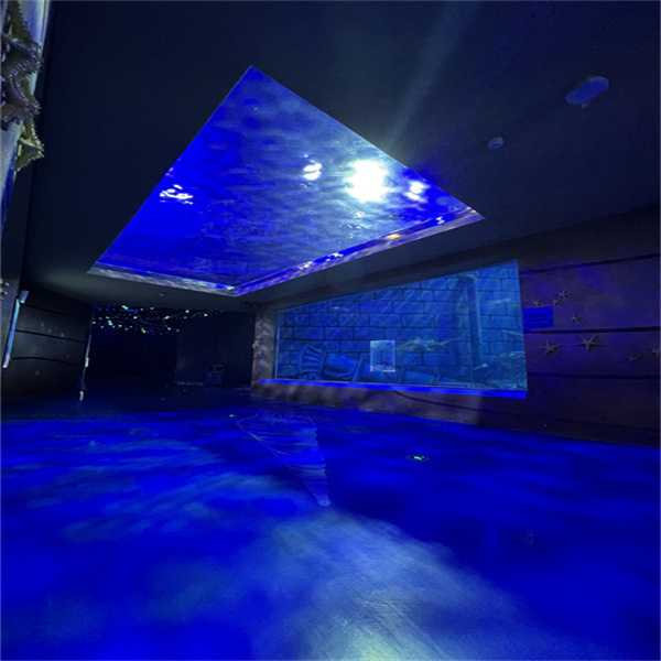 Ligeros e duradeiros, os acuarios de lámina de acrílico son perfectos para todas as idades