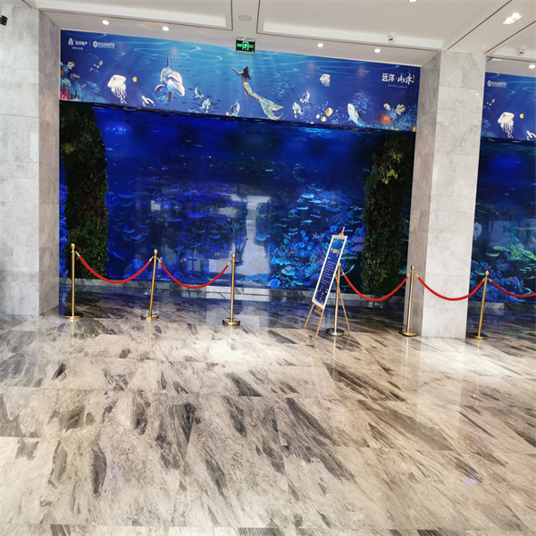 Přiveďte oceán dovnitř s nádherným velkým válcovitým akváriem