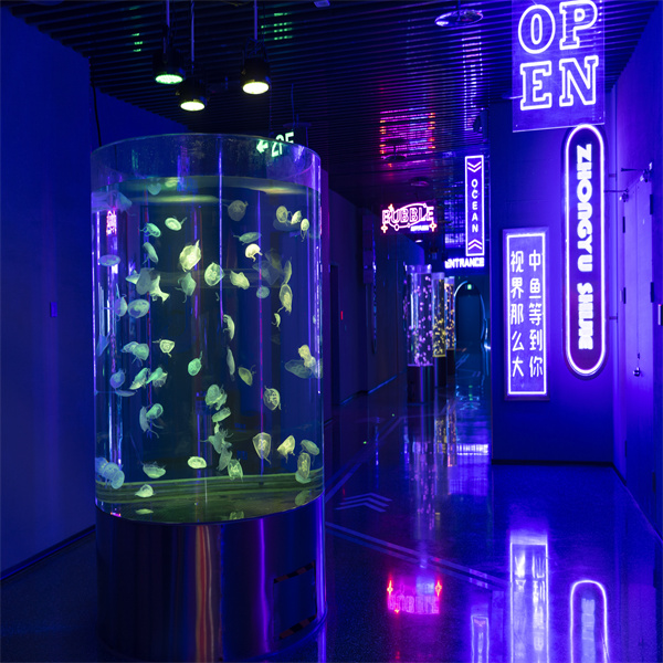 لماذا تعتبر خزانات الأكواريوم الأسطوانية خيارًا ممتازًا لحيواناتك الأليفة؟