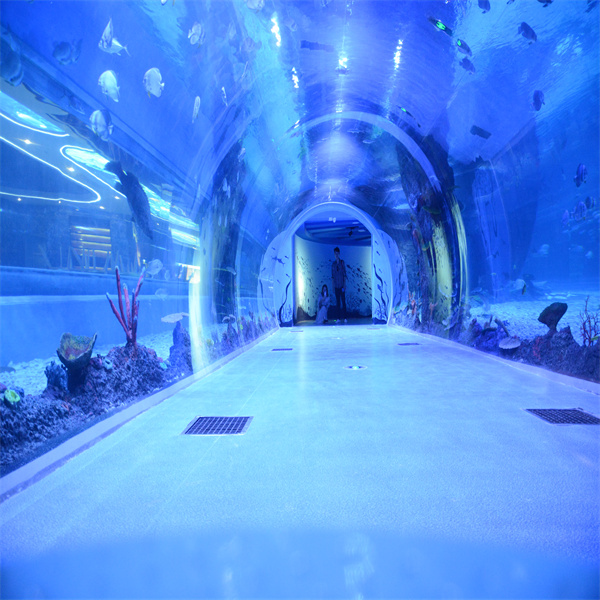 نفق حوض السمك