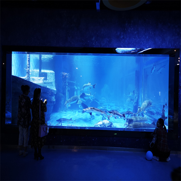 Mistrovství v údržbě velkých akvárií