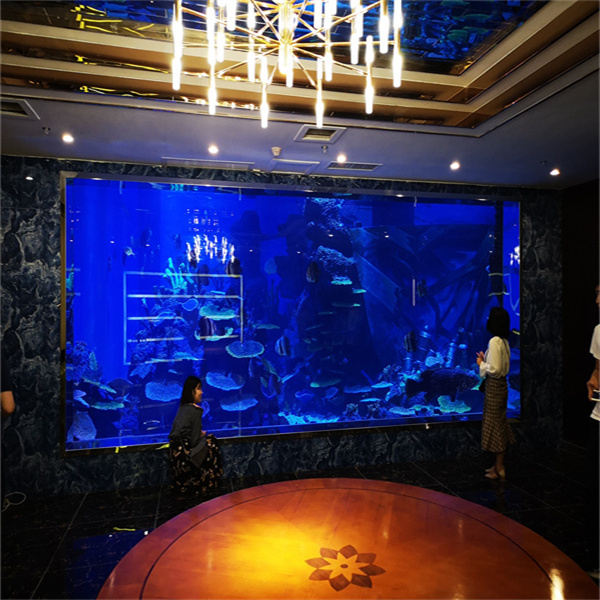 Endinsa't en el luxe amb un aquari d'acrílic fabricat a mida