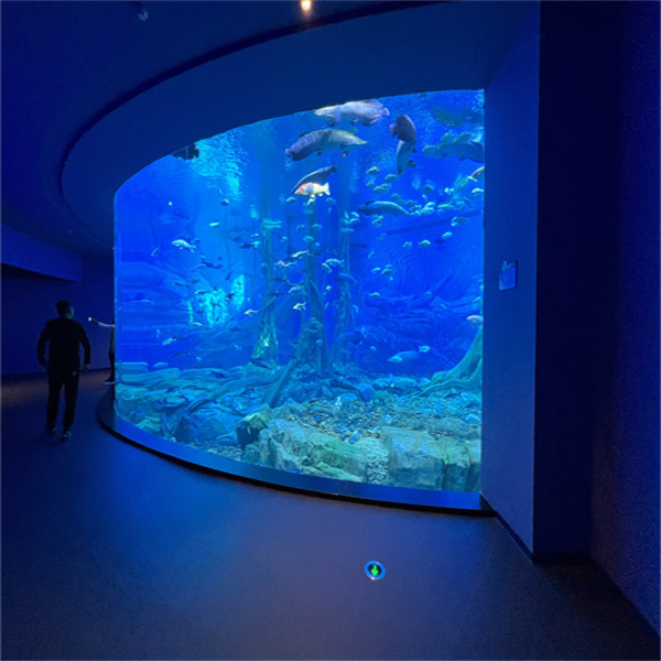 האקווריום העצום של מים מתוקים