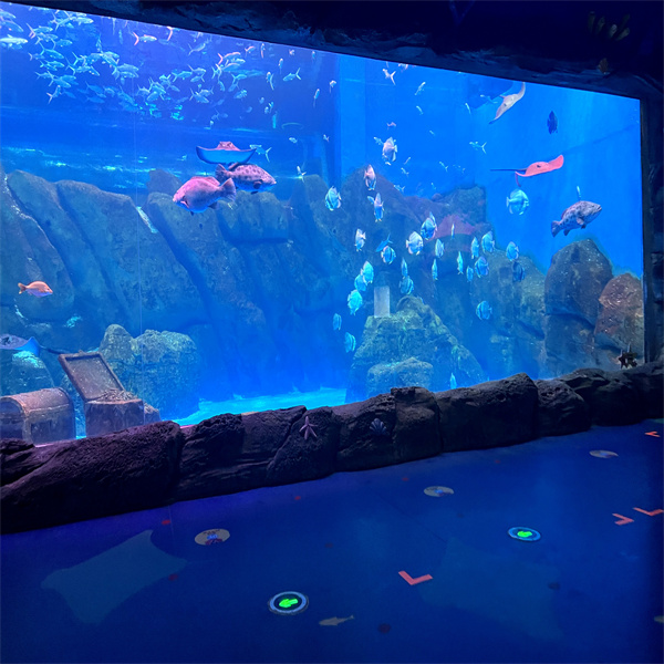 Tarefas Amigáveis ao Usuário do Seu Tanque de Acrílico Personalizado Big Fish