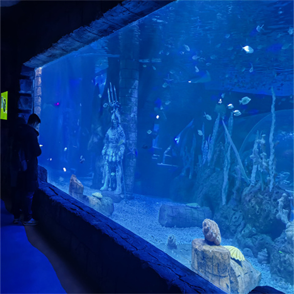 أكريليك عالي الجودة لبيئة مائية مذهلة.