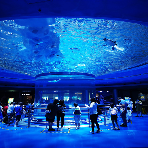 Por que um grande tanque cilíndrico de perspex é a opção perfeita para sua casa ou negócio?